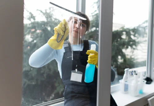 Nettoyage de vitres intérieures et extérieures à Ludiès